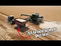 2026 Harrington Washington Wheat Harvest Wagner Farms
