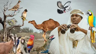 MBOSSO & UFUGAJI 😂 | USWEGE
