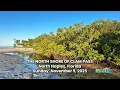 A Relaxing Beach Walk at Clam Pass During Low Tide on a Beautiful Sunday Morning in North Naples FL