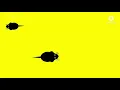 Download Lagu Tikus-tikus kantor (Animasi tikus)