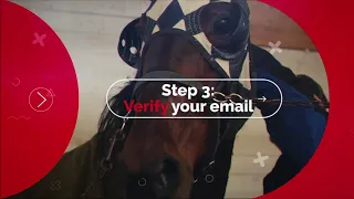 How to Bet Racebook com - HPIBet Sean Holden