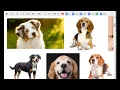 4 Codeanywhere tutorial Library More basic tags