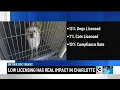 Pet owners in Charlotte required to have a license