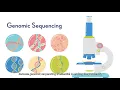 Genomic Sequencing Animated Explainer