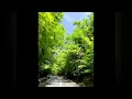 Reynmen - Cennet (Official Audio)