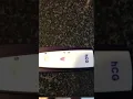 Walmart pregnancy tests