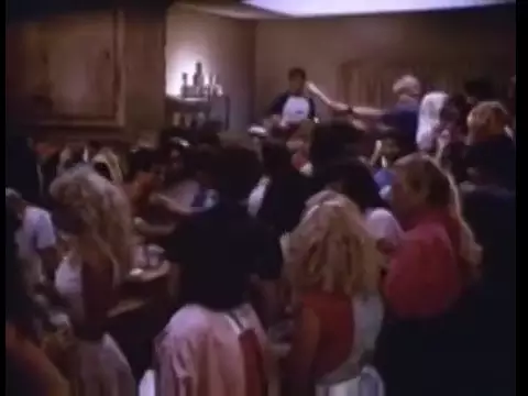 The Wild Life (1984)