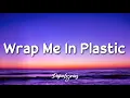 Download Lagu Wrap me in plas