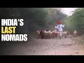 Rajasthan s Desert Nomads The Last Great Herders