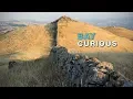 The Real True Story of the Mystery of the East Bay Walls Bay Curious