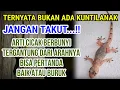 Lagu 9 ARTI SUARA CICAK DIDALAM RUMAH DI MALAM HARI DARI ARAH SELATAN, BARAT, UTARA, TIMUR MENURUT ISLAM