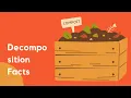 Decomposition Explained Educational for Kids