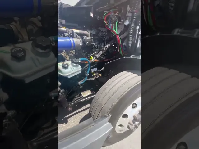 View Video