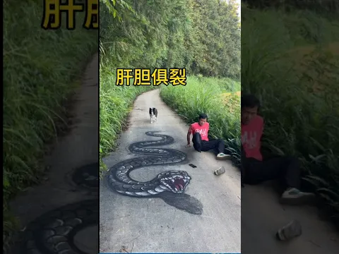 在马路上画条蛇，路人看到都吓坏了#3d