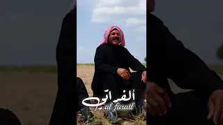 جت تحخطه وا القدرا بيضه اكسبلور الحياني شعر الهجيني المراره 