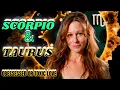 Scorpio Taurus Soulmate Obsession or Toxic Chaos Why They are a perfect match or A Train Wreck