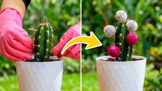 Transform Your Garden with Easy Upgrades & Care Tips! 🏡🌱