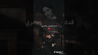 عاشق ليالي الصبر مداح القمر 