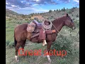 Corriente saddle fixing fence with a hammer and 30-30 rifle