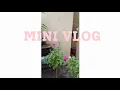 Download Lagu Bunga-bunga suda banyak yang mekar #minivlogs #dailyvlog