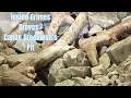 Inside Grimes Graves Exploring a 4 500-Year-Old Neolithic Flint Mine