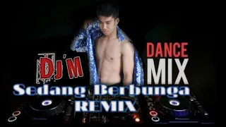 Download DJ Remix sedang berbunga versi pantai MP3