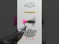 Pink Tag Dry Fly Tying Tutorial Short Red Tag variant Simple to Tie Deadly to Fish
