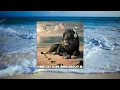 Lagu DeeJay Dan - Breakout 2 [2025]: Progressive Breaks | Atmospheric Breakbeat #Breaks #Progressive