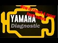 How to check and reset fault codes - Yamaha clock diagnostic