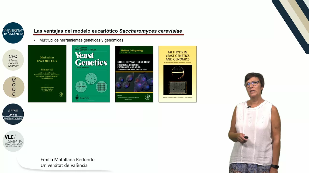 4.4. Saccharomyces cerevisiae