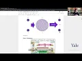 IBM Quantum Intro to Qiskit