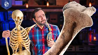 Você NÃO FAZ IDEIA como é DENTRO do OSSO!