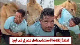 أسد سلطوه على أسد كفاية كده احنا صعيدة يابابا مبنخفش 