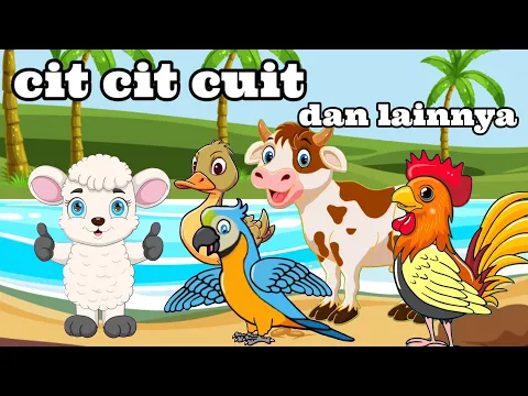 Download MP3 cit cit cuit ,kukuruyuk dan lainnya | lagu anak indonesia ~ ayam berkokok