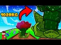 Download Lagu This Rosy Delight Strategy is BETTER than Elephant Ear in Roblox Grow a Garden..