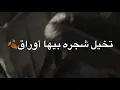 سيف عامر - ورقة (حصرياً) | 2019 | (Saif Amer - Warqa (Exclusive