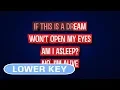Download Lagu Jessie J feat. Big Sean - Wild | Karaoke Lower Key