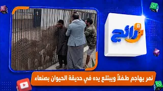 نمر يهاجم طف    لا  ويبتل    ع ي   ده في حديقة الحيوان بصنعاء دندنها