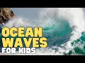 Ocean Waves for Kids - INTERACTIVE Learn about the science behind how waves are created