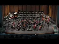 Terra Nova Samohi Orchestras
