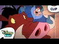 Download Lagu Timon and Pumbaa Visit Pumbaa's Uncle Boaris 🐗 | The Lion King's Timon \u0026 Pumbaa | @disneykids