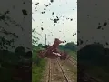 Download Lagu when in train.. train accidentaly hit donkey #train #railway #reels #tiktok #shorts