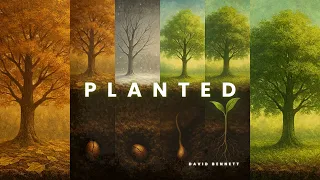 planted i needed this dave