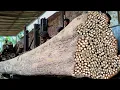 Download Lagu Wat een verschrikking! Prachtige aanval van een gigantische boomstam op de houtzagerij
