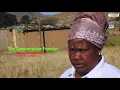 Download Lagu The Conservation Frontier - Bawinile Mtolo