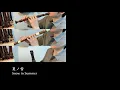 ニーアレプリカント「夏ノ雪」【リコーダー多重録音】【全部俺の笛】