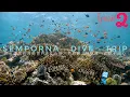 Download Lagu Diving at Sipadan 2021 Semporna Dive Trip day 3