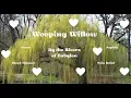Download Lagu Treurwilg - Aan de rivieren van Babylon