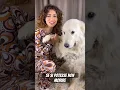 Download Lagu “Se si potesse non morire” 🥹🤍 #musica #dog #doglover #cover @rockmoda #cane #pma #singer