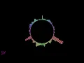 Beautiful People - David Guetta & Sia (THEMBA Remix)